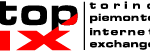 TOP-IX_logo-02